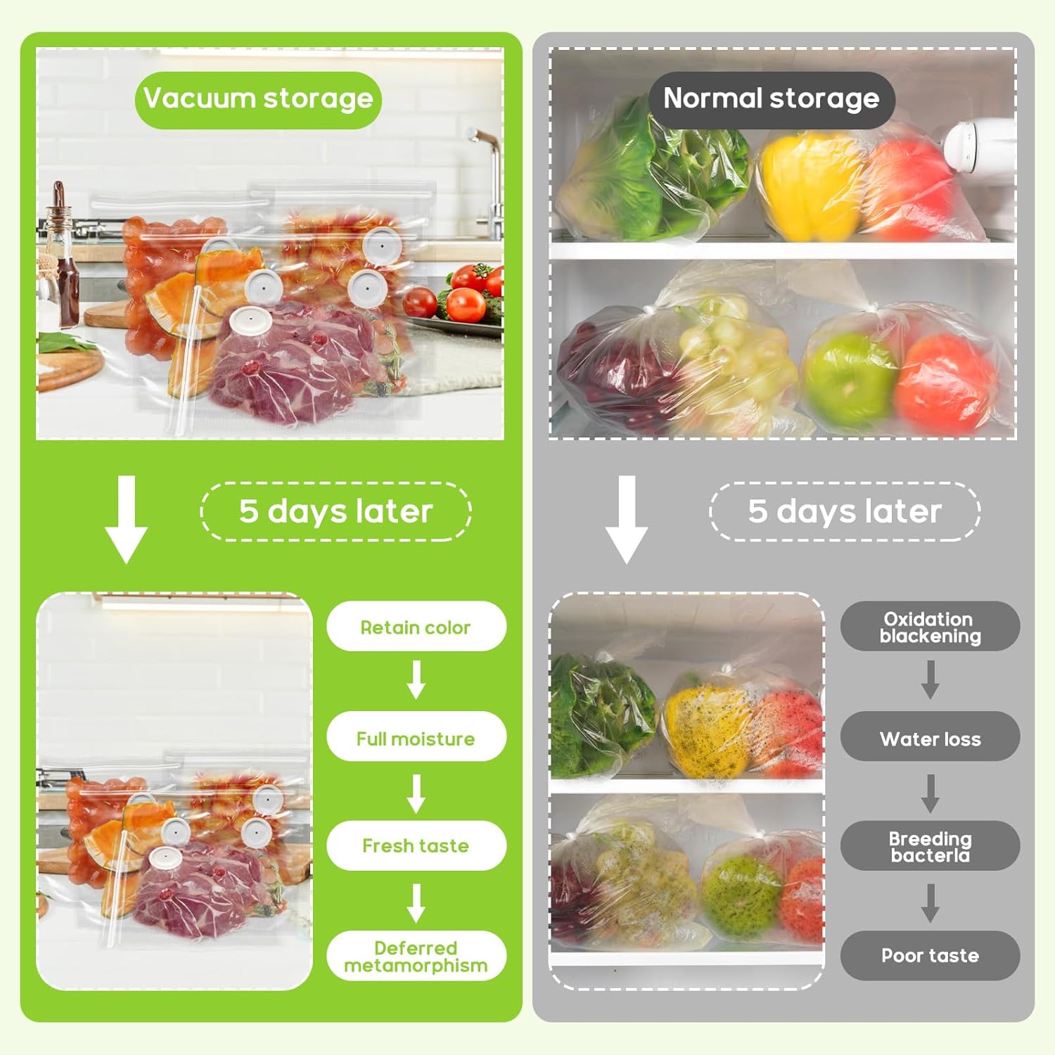 진공 밀봉기 휴대용 진공 밀봉기(5개의 진공 백 포함) - Food Vacuum Sealer Machine 리뷰 및 가격